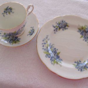 Regency bone china teacup saucer luncheon plate